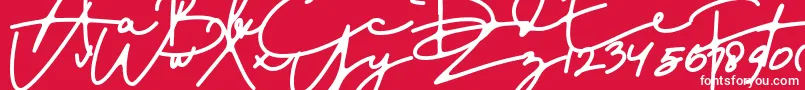 フォントDreamOnly – 赤い背景に白い文字