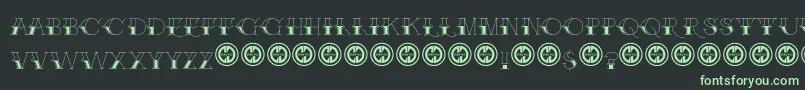 BrakefluidFfp Font – Green Fonts on Black Background