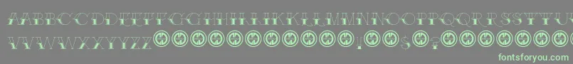 BrakefluidFfp Font – Green Fonts on Gray Background