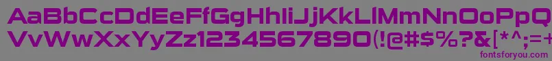 SuigenerisrgBold Font – Purple Fonts on Gray Background