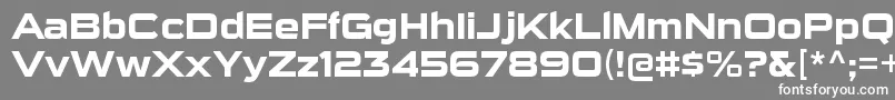 SuigenerisrgBold Font – White Fonts on Gray Background