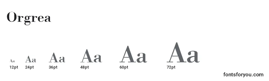 Размеры шрифта Orgrea