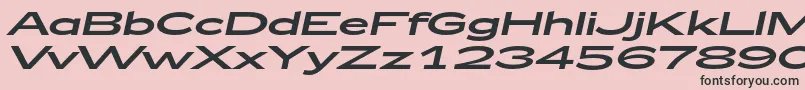 Zeppelin53Italic Font – Black Fonts on Pink Background