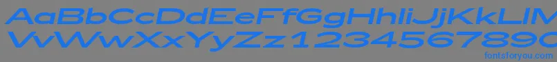 Zeppelin53Italic-Schriftart – Blaue Schriften auf grauem Hintergrund