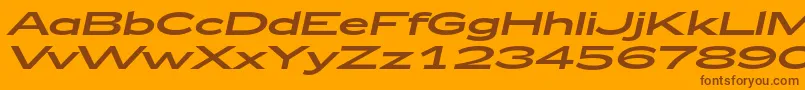 Zeppelin53Italic Font – Brown Fonts on Orange Background