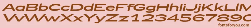 fuente Zeppelin53Italic – Fuentes Marrones Sobre Fondo Rosa