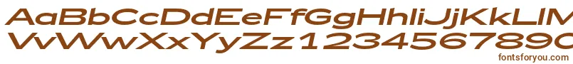 Zeppelin53Italic Font – Brown Fonts on White Background