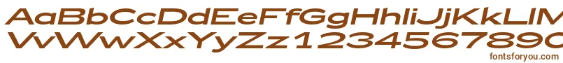 fuente Zeppelin53Italic – Fuentes Marrones Sobre Fondo Blanco