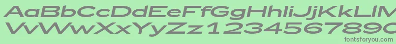 Zeppelin53Italic Font – Gray Fonts on Green Background