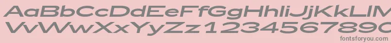 フォントZeppelin53Italic – ピンクの背景に灰色の文字