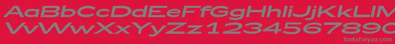 Zeppelin53Italic Font – Gray Fonts on Red Background