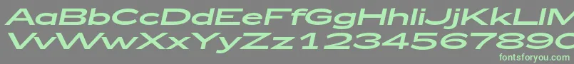 フォントZeppelin53Italic – 灰色の背景に緑のフォント