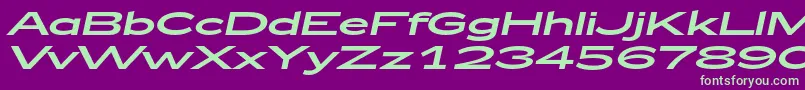 Czcionka Zeppelin53Italic – zielone czcionki na fioletowym tle