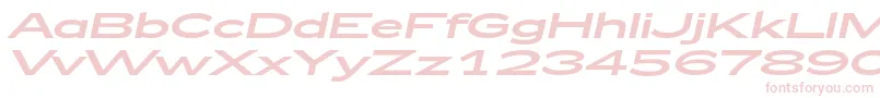 Zeppelin53Italic-fontti – vaaleanpunaiset fontit