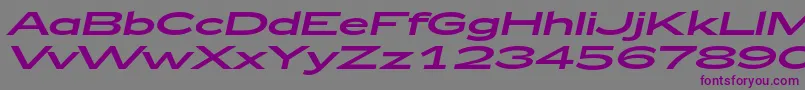 Czcionka Zeppelin53Italic – fioletowe czcionki na szarym tle