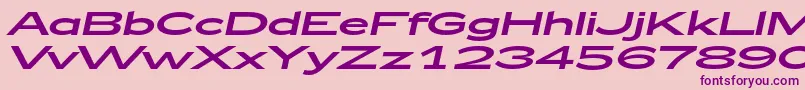 Zeppelin53Italic Font – Purple Fonts on Pink Background