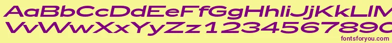 Zeppelin53Italic Font – Purple Fonts on Yellow Background