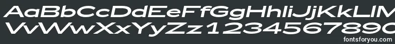 フォントZeppelin53Italic – 白い文字