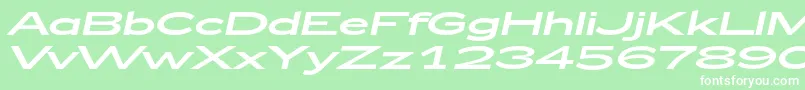 Zeppelin53Italic Font – White Fonts on Green Background