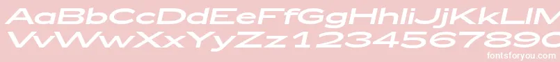 Zeppelin53Italic-Schriftart – Weiße Schriften auf rosa Hintergrund