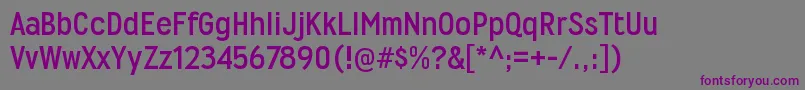 WyvernrgBold Font – Purple Fonts on Gray Background