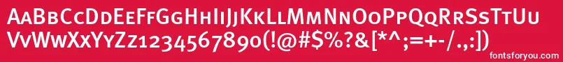 Metamediumcapsc Font – White Fonts on Red Background