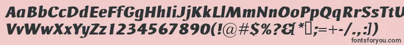 AdHocBisItalic Font – Black Fonts on Pink Background