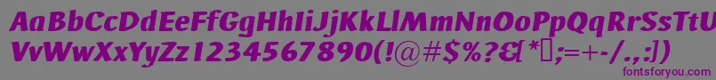 Czcionka AdHocBisItalic – fioletowe czcionki na szarym tle