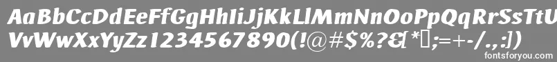 Czcionka AdHocBisItalic – białe czcionki na szarym tle