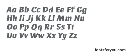 AdHocBisItalic Font