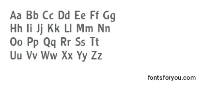 Clearfacegottregro1 Font