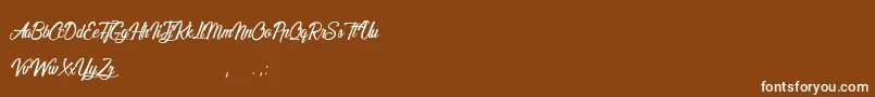 SleepingInCastleland Font – White Fonts on Brown Background