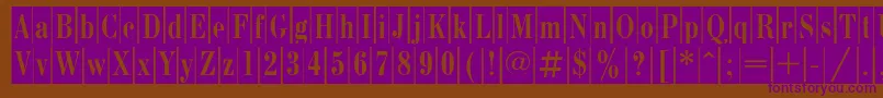 BodonicameocRegular-Schriftart – Violette Schriften auf braunem Hintergrund