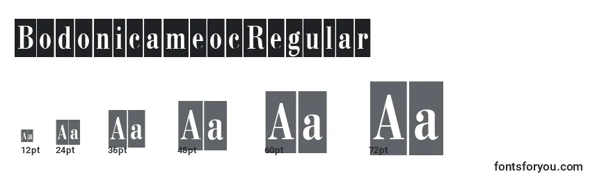 BodonicameocRegular Font Sizes