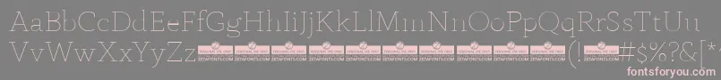 AnaphoraThinTrial Font – Pink Fonts on Gray Background