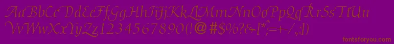 D730RomanSwashRegular Font – Brown Fonts on Purple Background
