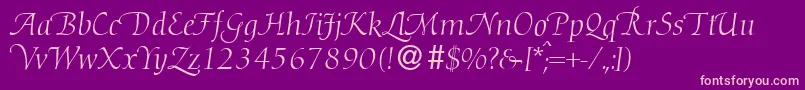 D730RomanSwashRegular Font – Pink Fonts on Purple Background