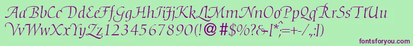 D730RomanSwashRegular Font – Purple Fonts on Green Background