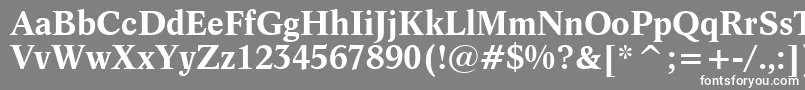 Dutch809BoldBt Font – White Fonts on Gray Background