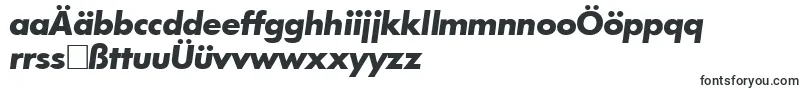 FunctiontwoBolditalic Font – German Fonts