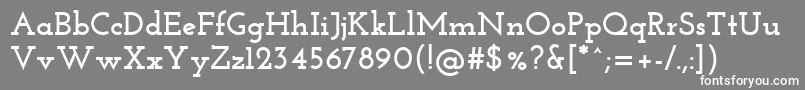 フォントJosefinslab ffy – 灰色の背景に白い文字