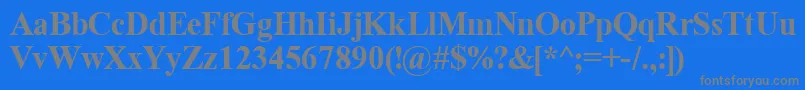 TimeRomanBold Font – Gray Fonts on Blue Background