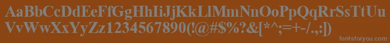 TimeRomanBold Font – Gray Fonts on Brown Background