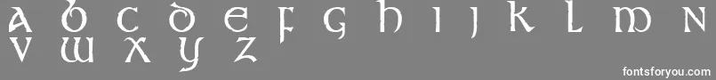 フォントSt – 灰色の背景に白い文字