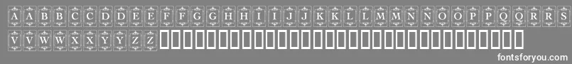 KrDecoCapsOne Font – White Fonts on Gray Background