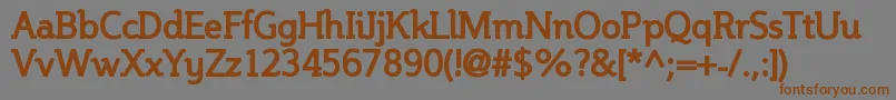 SteinemBold Font – Brown Fonts on Gray Background