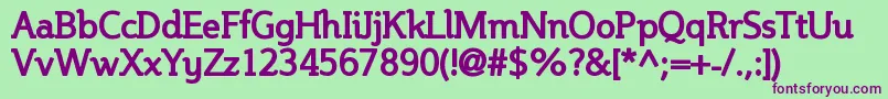 SteinemBold Font – Purple Fonts on Green Background