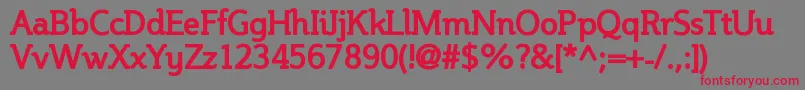 SteinemBold Font – Red Fonts on Gray Background