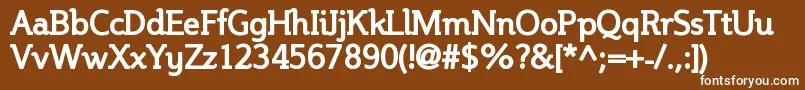 SteinemBold Font – White Fonts on Brown Background