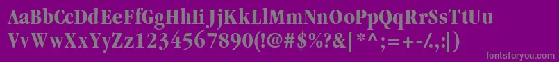 Garamondblackcondssk Font – Gray Fonts on Purple Background
